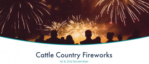 cattle country fireworks 2025